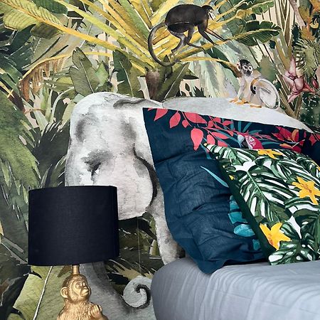 Studio Tropical , Vierzon , Proche Gare , Tout Confort Extérieur photo