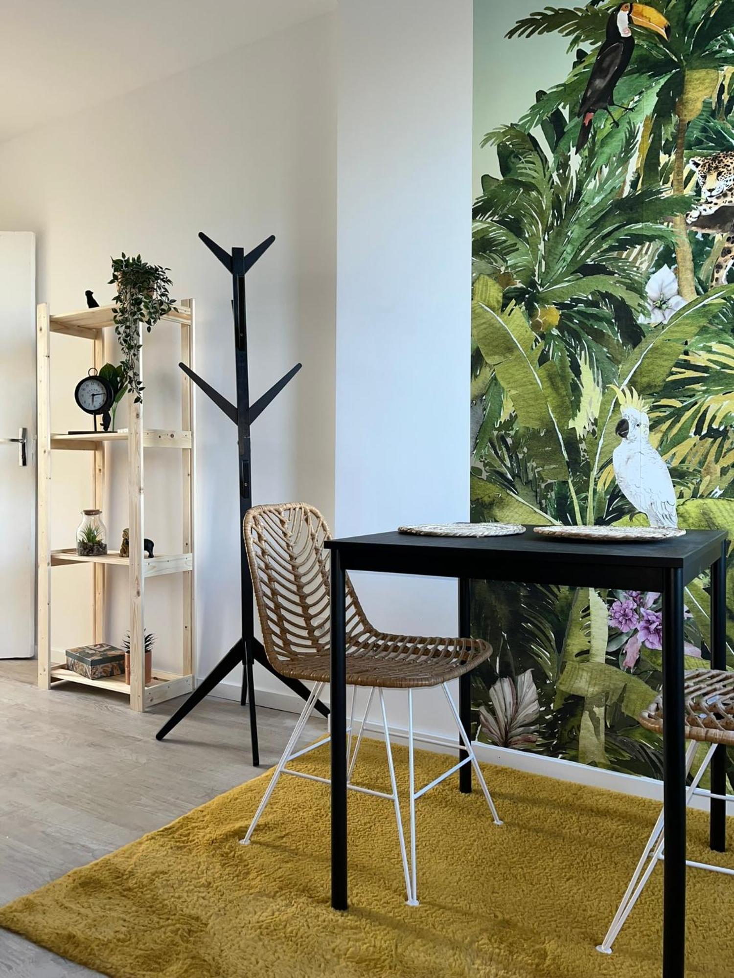 Studio Tropical , Vierzon , Proche Gare , Tout Confort Extérieur photo